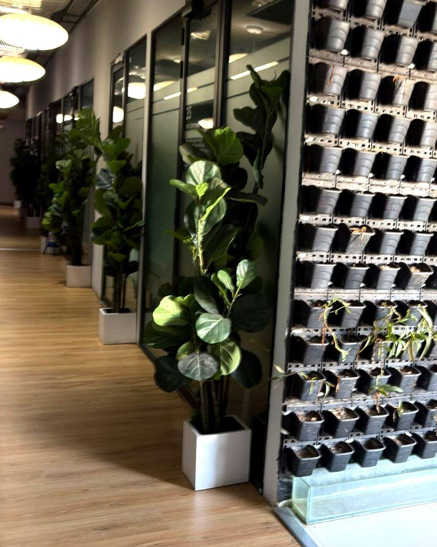 Corridor with meeting rooms and plants