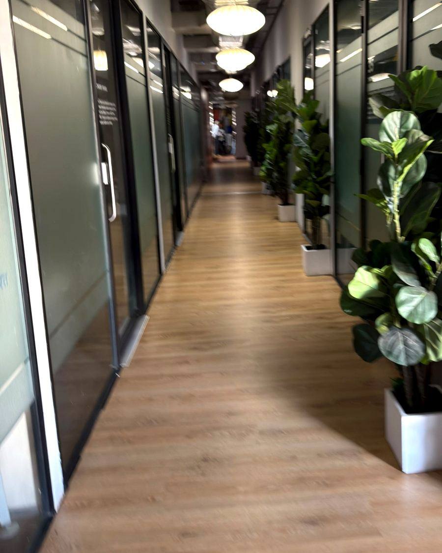 Hallway with pendant lights and plants